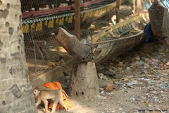 24jan2015_kerala-y-phnom-phen_2328