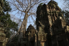 29Jan2015_Prohm_4278