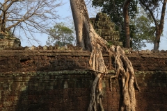 29Jan2015_Prohm_4393