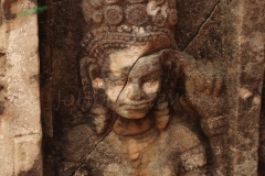 31Jan2015_the Leper King_5545