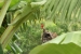 20120608-IMG_9287