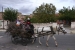 20111017-IMG_8909