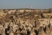 20111019-IMG_9928