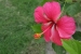 Trancoso 002