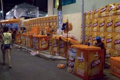 thumb_carnival 2016_20160208_9625_1024