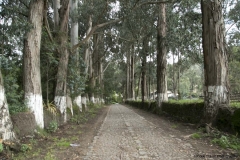 Cayambe_0015