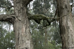 Cayambe_0024