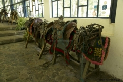 Cayambe_0037