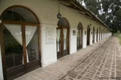 Cayambe_0187