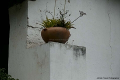 Cayambe_0294