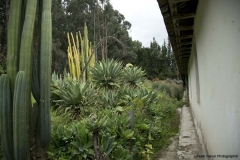 Cayambe_0338