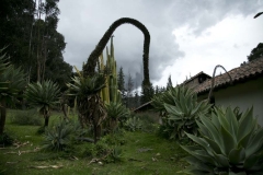 Cayambe_0340