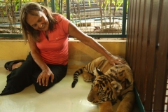 Tiger Kingdom and poopark_20150526_7660