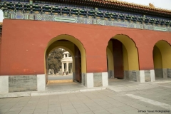 G85A5542-Copy-Copy