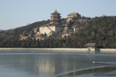 G85A5618-Copy-Copy