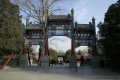 G85A5721-Copy-Copy