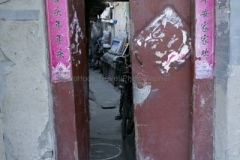 G85A6635