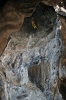 chiang-mai2-150-2.jpg
