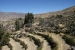 Condor flying 144.jpg