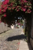 colonia proper 093.jpg