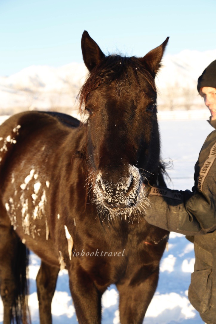 thumb_20170106_2017 cold day January large_0027_1024