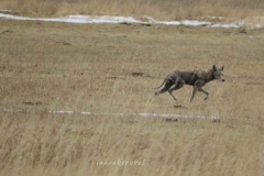 thumb_20161222_Colorado 3_0027_1024