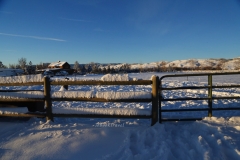 thumb_20170106_2017 cold day January small_0001_1024