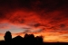 20111123-IMG_8026