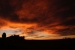 20111123-IMG_8071