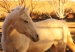 20111128-IMG_8407