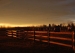 20111130-IMG_8559