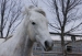 Colorado-Sunrise-January-3rd-2011-344