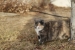 g85a1890-2