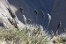 Condors 296.jpg