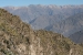 Condors 299.jpg