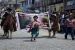 20140719_Cotopaxi-4_0169