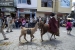 20140719_Cotopaxi-4_0182