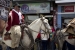 20140719_Cotopaxi-4_0332
