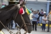 20140719_Cotpaxi-2014_0409