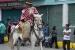 20140719_Cotpaxi-2014_0415