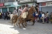 20140719_Cotpaxi-2014_0554