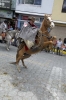 20140719_Cotpaxi-2014_0559