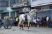 20140719_Cotpaxi-2014_0789