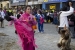 20140719_Cotpaxi-2014_0885