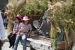 20140719_Cotpaxi-2014_0922