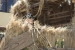 20140719_Cotpaxi-3_0152