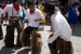 20140719_Cotpaxi-3_0223