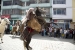 20140719_Cotpaxi-3_0438