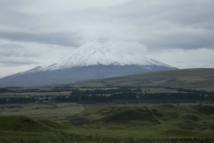 G85A2416