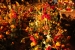 20111103-IMG_6880
